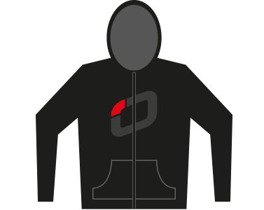 Ozone Zip Hoody — Mens Large / Black