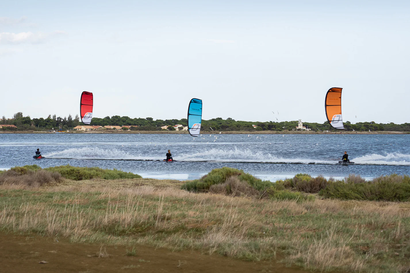 Water Kites